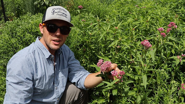 Photo of Dan Schutte with milkweed.