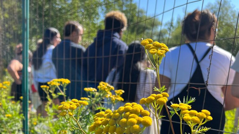 Students gathered in the medicine garden