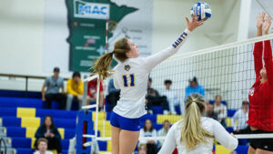 Volleyball team playing the game