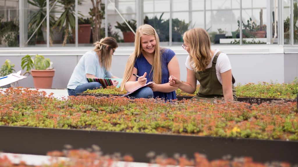 Biology students working on the roof near the St. Scholastica Greenhouse.