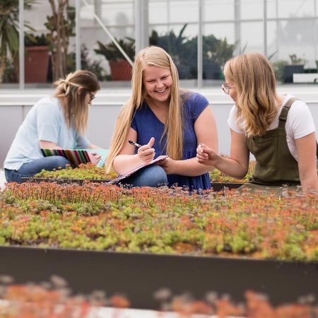 Biology students working on the roof near the St. Scholastica Greenhouse.