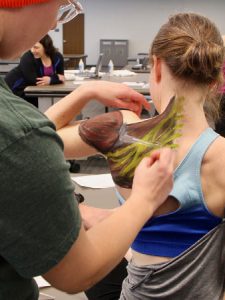 St. Scholastica PA Students practicing anatomy painting.