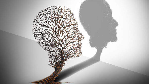 A graphic of a face made out of branches with a shadow on the wall.