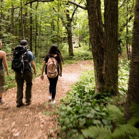 Three students hiking on the St. Scholastica Duluth campus trails.