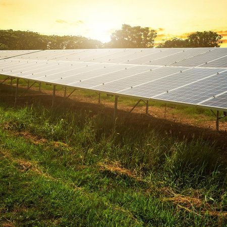 Row of solar panels in a field.