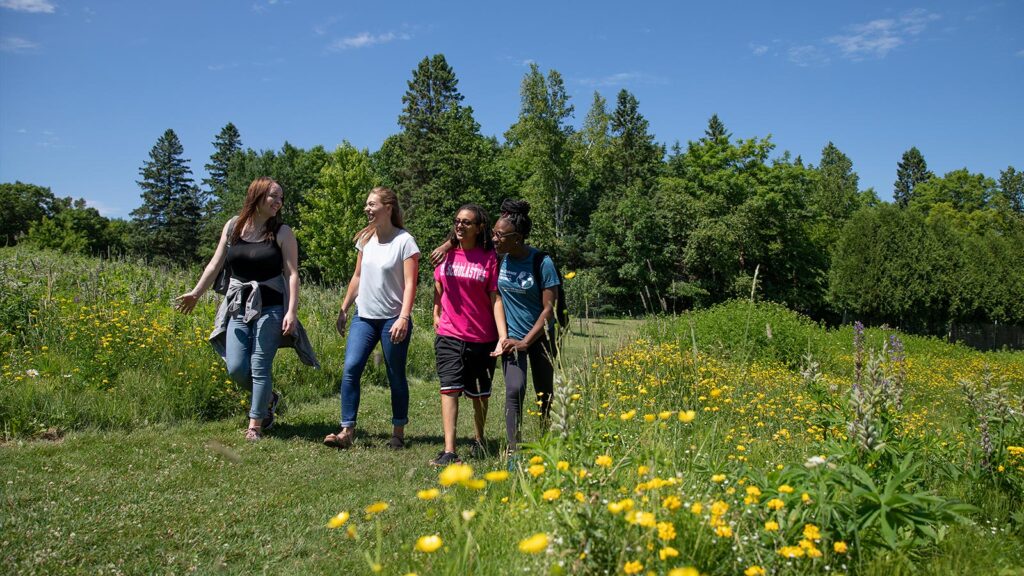 Photo of students walking together in a field